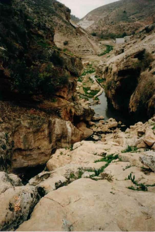From Amman: Jerash, Umm Qais, and Jesus' Cave Private Trip - Should you book this northern Jordan trip?