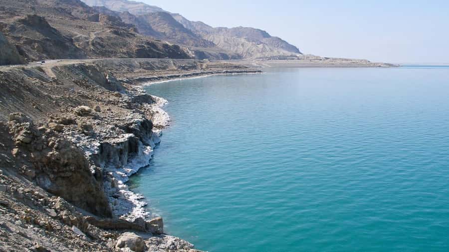From Amman: Madaba, Mount Nebo, & Dead Sea Day Tour - What the $69 price really covers