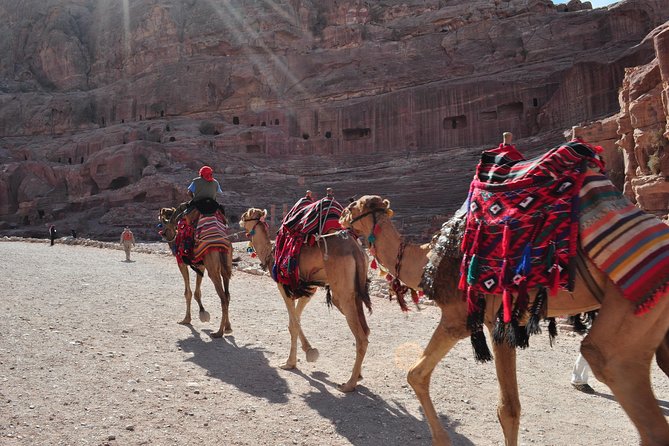 From Amman: one day tour to Petra - A short horseback ride toward the Siq