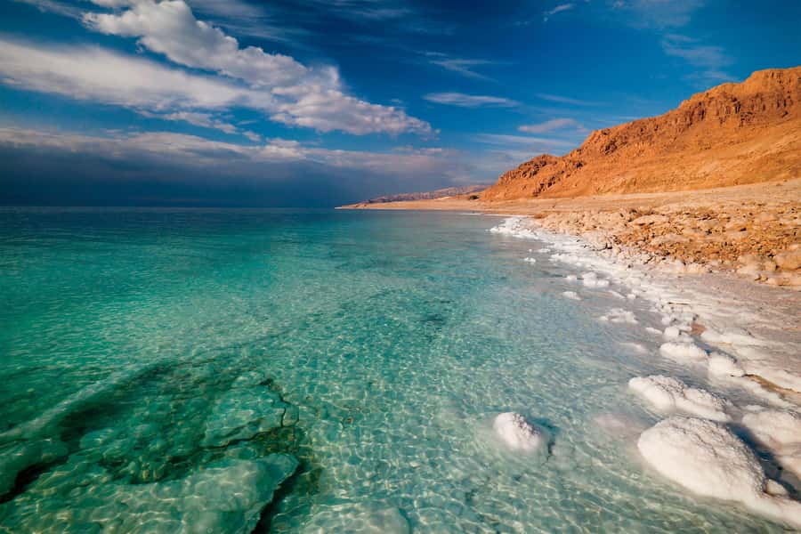 From Amman: Petra and Dead Sea Private Day Tour - Who should choose this tour