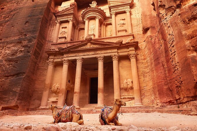 From Amman: Petra and Wadi rum Full day Tour - Why the private car is worth considering