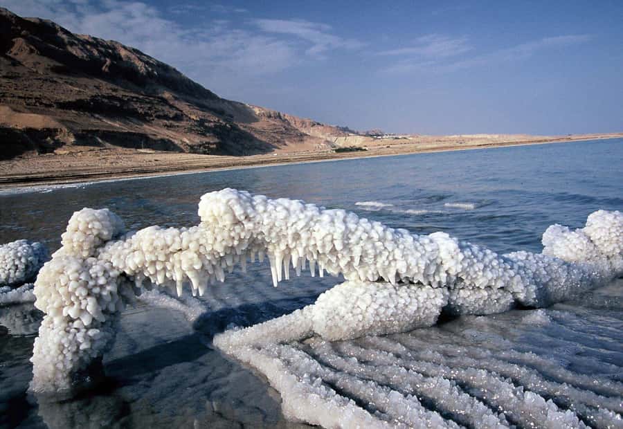 From Amman: Petra, Wadi Rum, and Dead Sea Private 2-Day Trip - From carved stone to desert sunset