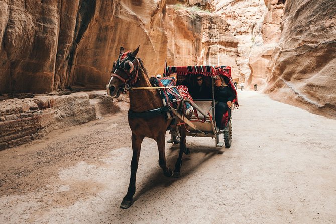 FROM AMMAN | Petra & Wadi Rum in one day | The Jordanian Mappers - What the $370 price includes