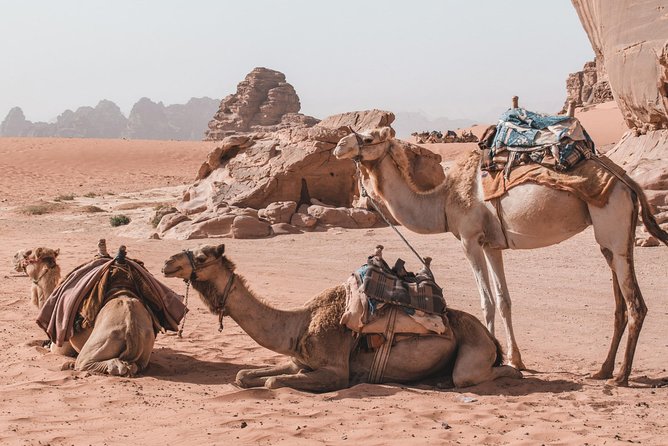 FROM AMMAN | Petra & Wadi Rum in one day | The Jordanian Mappers - Who should book this Petra and Wadi Rum day trip?