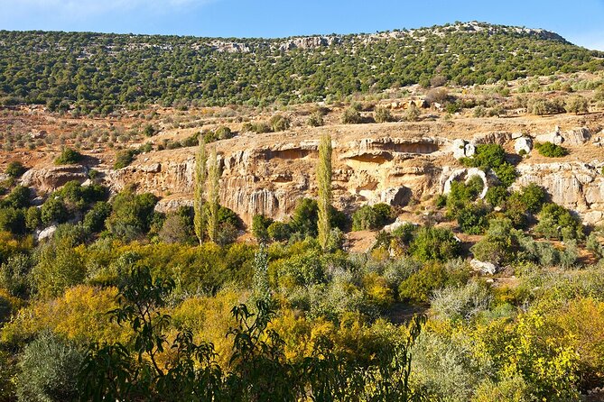 From Amman :Private day tour to Jerash and Ajloun - Key points to know before booking