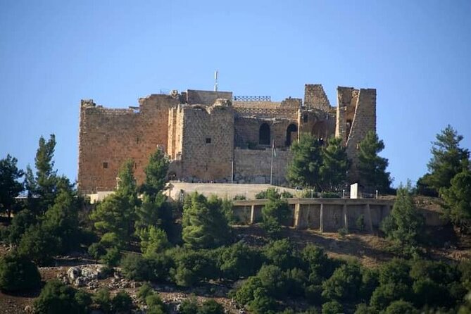 From Amman :Private day tour to Jerash and Ajloun - Returning to Amman after a full day