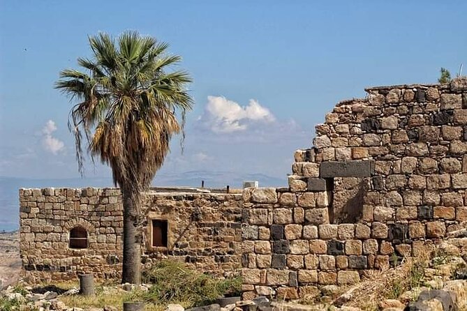 From Amman: Private Full Day Tour Jerash Ajloun & Um Qais - What your driver adds to the day