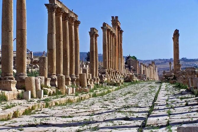 From Amman: Private Full Day Tour Jerash Ajloun & Um Qais - Ajloun Castle and the wooded hills
