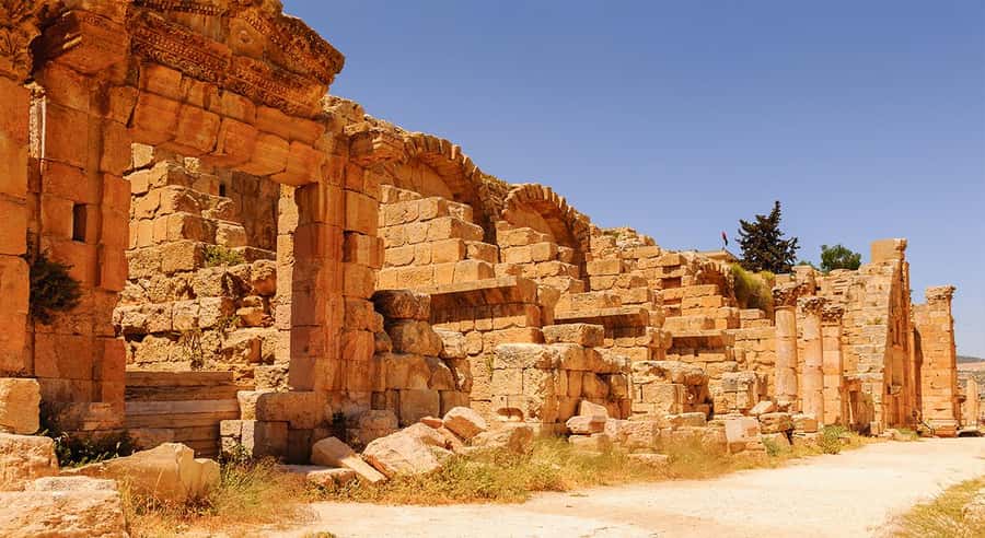 From Amman: Private Half-Day Tour to Jerash - Walking through the Oval Plaza