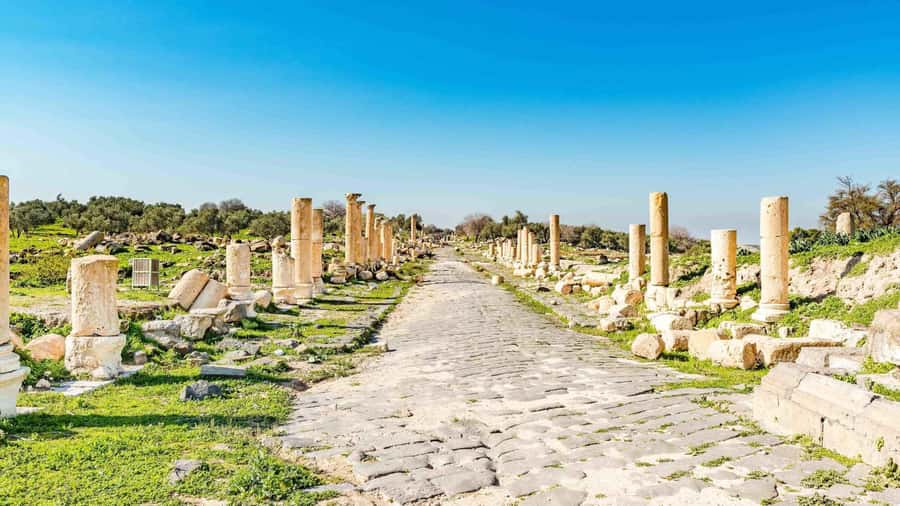 From Amman: Private Jerash, Ajloun Castle, and Umm Qais Tour - Umm Qais brings the biggest views