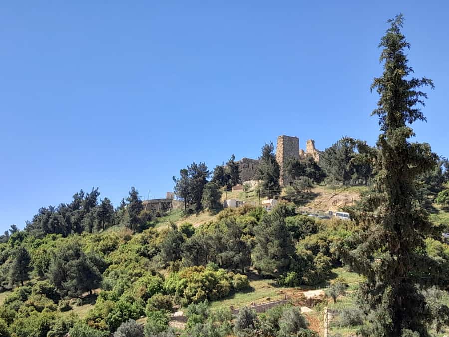 From Amman: Private Jerash, Ajloun Castle, and Umm Qais Tour - Who should choose this northern Jordan day?