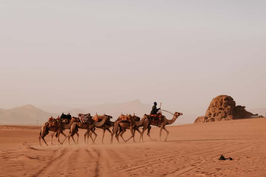 From Amman: Private or sharing Petra &Wadi Rum Full day Tour - Walking through Petra’s Siq