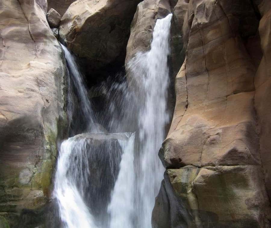 From Amman:To Al-Mujib Canyon & Dead Sea Salt Beach Day Trip - Resort access can improve the Dead Sea stop