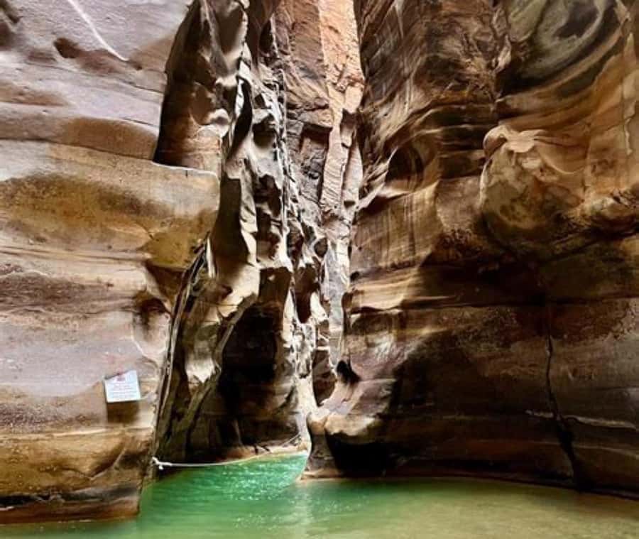 From Amman:To Al-Mujib Canyon & Dead Sea Salt Beach Day Trip - The drive from Amman is part of the experience