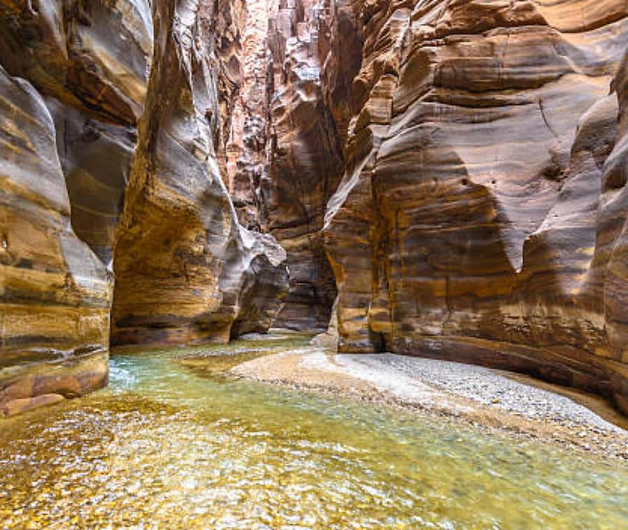 From Amman:To Al-Mujib Canyon & Dead Sea Salt Beach Day Trip - Who should book this day trip?
