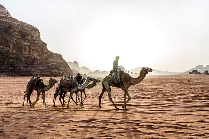 From Amman to Petra and Wadi rum ( Private two days) - A morning jeep tour in Wadi Rum