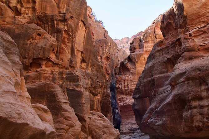 From Amman to Petra and Wadi rum ( Private two days) - Drivers who shape the experience