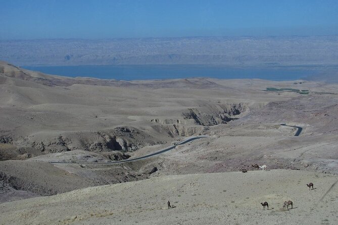 From Amman to West ( Madaba, Mt Nebo, baptism site and dead sea) - The Dead Sea’s Salt, Mud, and Low Elevation