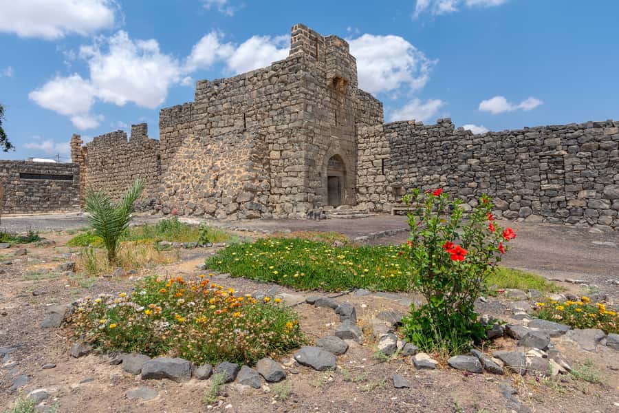 From Amman: Umayyad Desert Castles Tour with Transfer - Should you book the Umayyad Desert Castles tour?