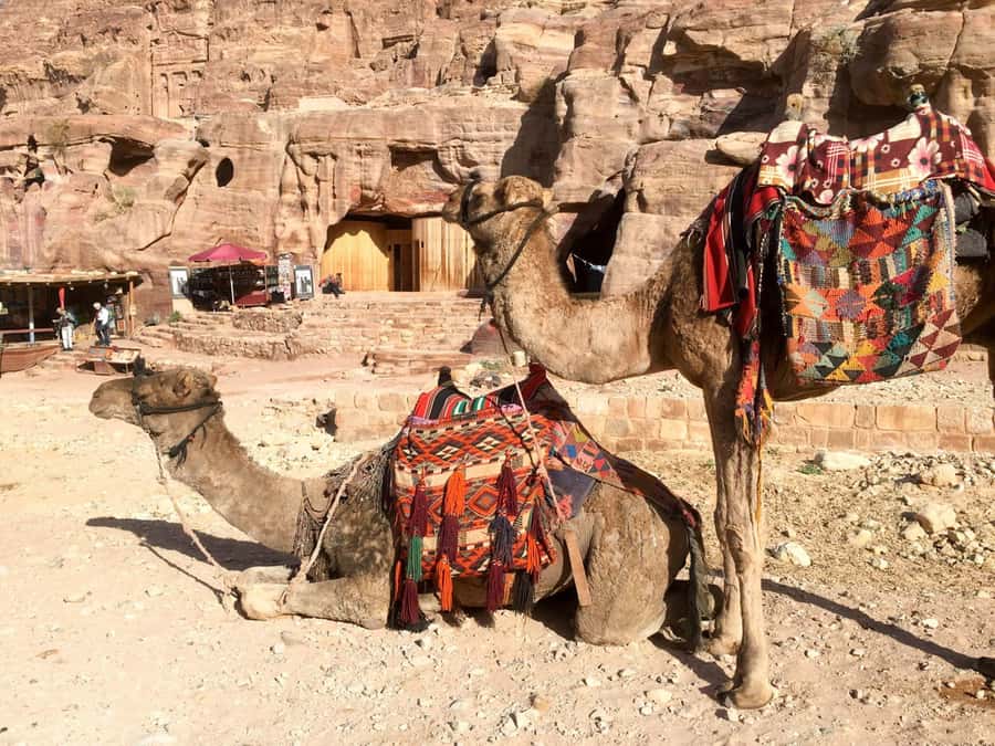 From Eilat: Petra Full-Day Guided Tour with Transfers - What the US$219 price really covers