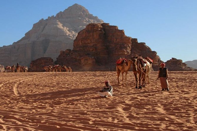 From Petra to Wadi Rum, then back to Amman or the airport. - Comfort, pace, and practical limits