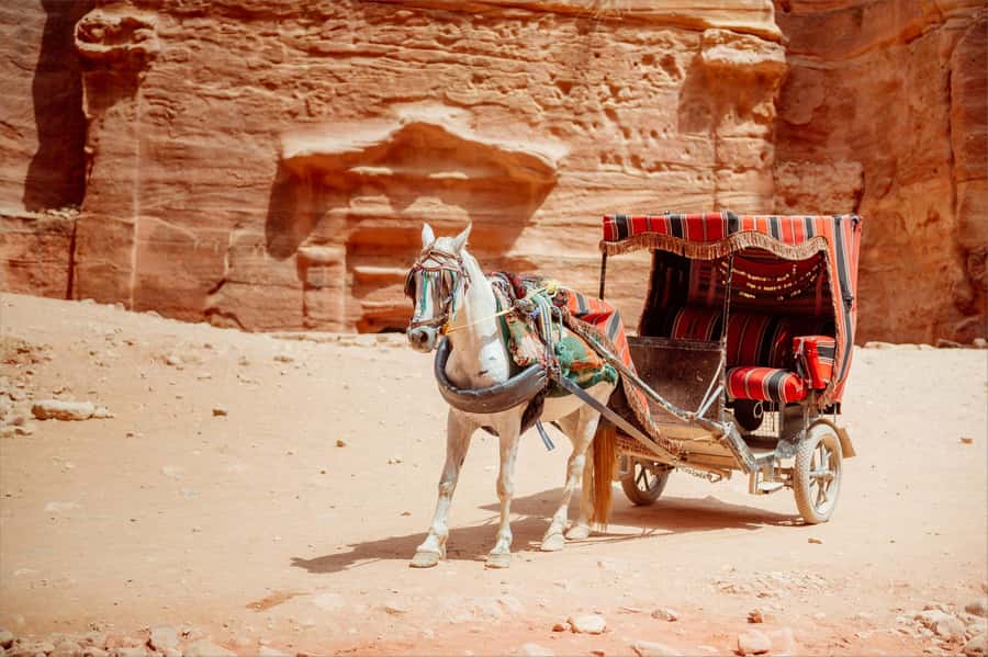 From Tel Aviv: Petra 1-Day Guided Tour with Transfers - Wadi Rum views and the return to Aqaba