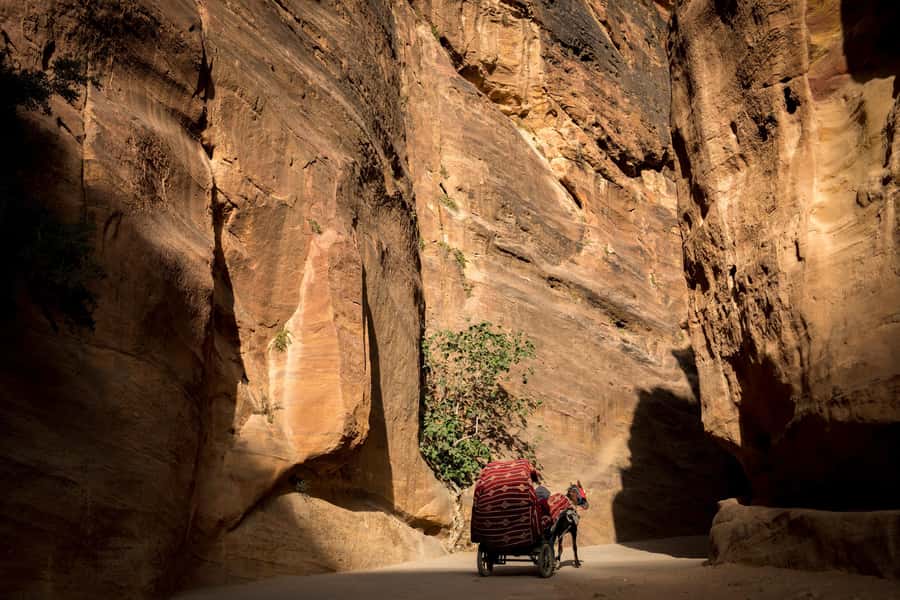 From Tel Aviv: Petra 2-Day Tour - An evening at the Bedouin camp near Petra