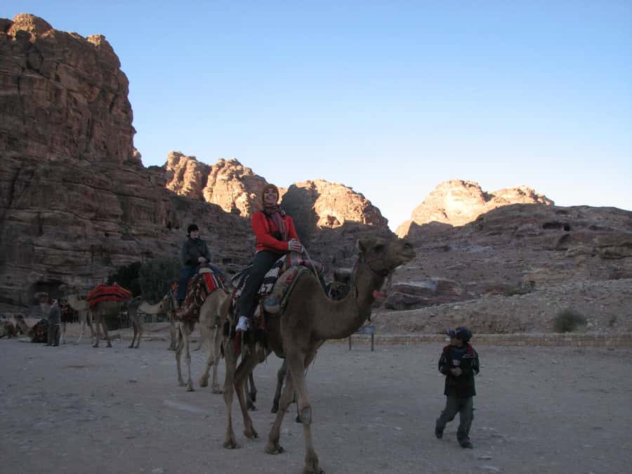 From Wadi Rum: Camel Ride Experience with Tea and Guide - Starting at Wadi Rum Rest House