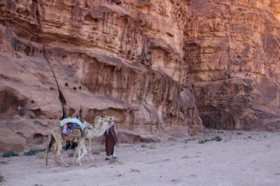 Camel Ride Experience with Tea and Guide