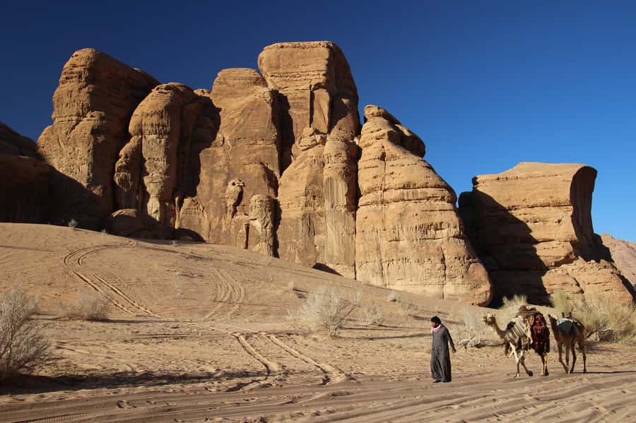 From Wadi Rum: Camel Ride Experience with Tea and Guide - What the $31 price really covers