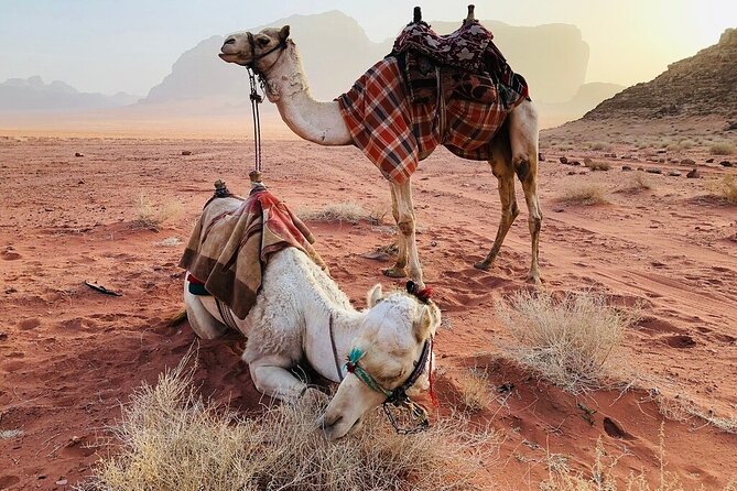 Full Day 4x4 Classic Desert Tour with overnight in private tent - Khazali Canyon, where the desert turns narrow