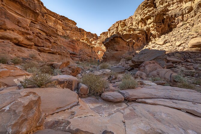 Full-Day 8 Hour Jeep Tour into Wadi Rum Protected Area with Stay - Walking Abu Khashaba Canyon