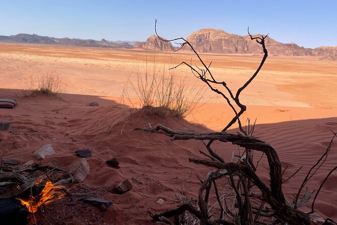 Full-Day Hiking in Wadi Rum's Desert with Lunch - Walking the soft sand dunes
