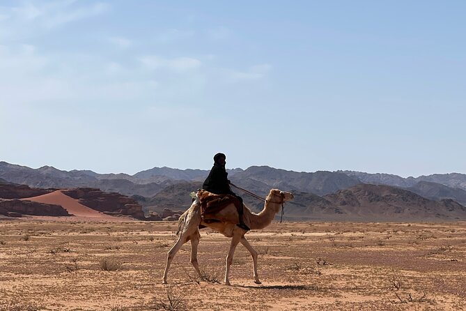 Full-Day Hiking in Wadi Rum's Desert with Lunch - Lunch and tea in the mountain shade