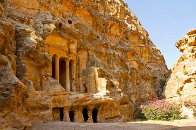 Full Day Petra and Wadi Rum Tour from Amman - Booking, tickets, and cancellation