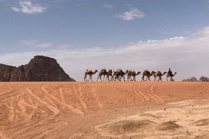 Full-Day Private Tour in Petra with Hotel Pick-Up - How the company’s service has performed