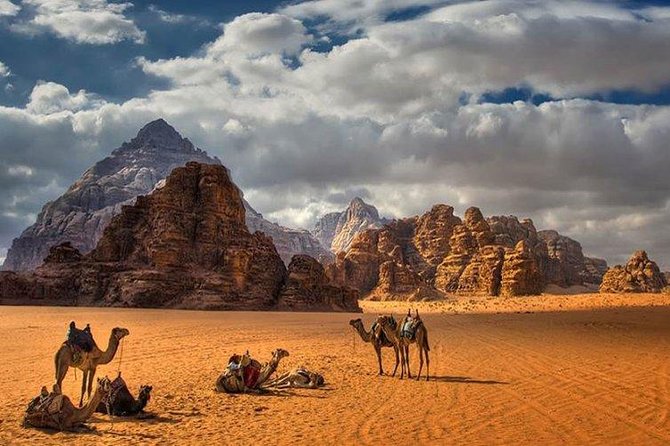 Full-Day Private Trip To Petra, Wadi Rum - From carved stone to red sand