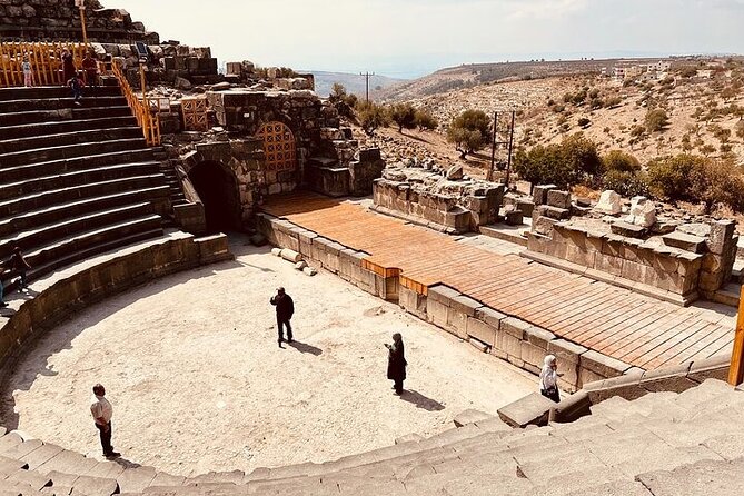 Full day Tour Jerash، Ajloun and Um Qais from Amman - What the Driver Adds to a Private Day