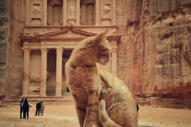 Full Day Tour Petra and wadi rum from Amman or Dead sea - Entering Petra through the Siq