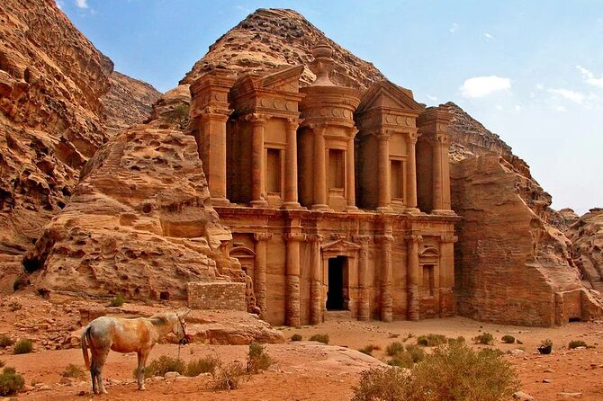 Full-Day Trip in Petra from Aqaba - What the private format does well