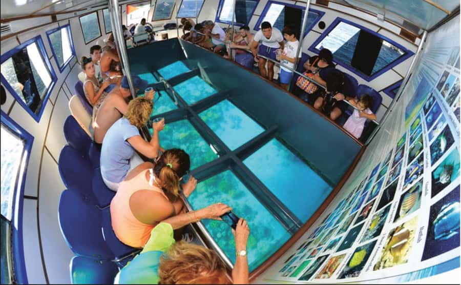 Glass Boat & Snorkeling with day use of Berenice Beach Club - Key points to know before booking