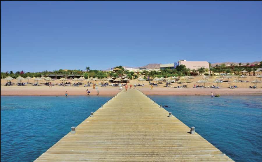 Glass Boat & Snorkeling with day use of Berenice Beach Club - The snorkeling stops and how to get the most from them