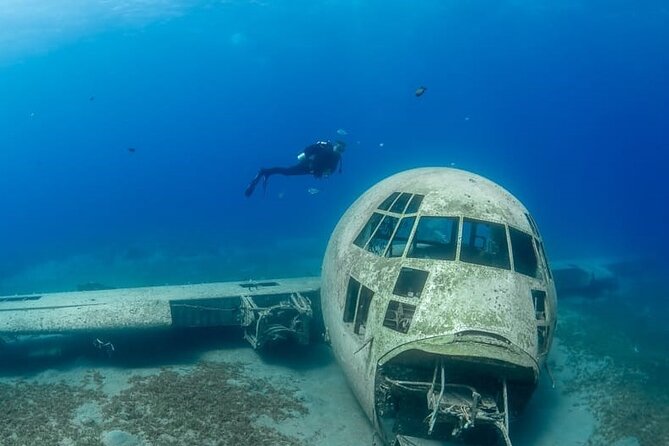Guided Scuba Diving Adventure in Aqaba - What the Aqaba scuba session is really like