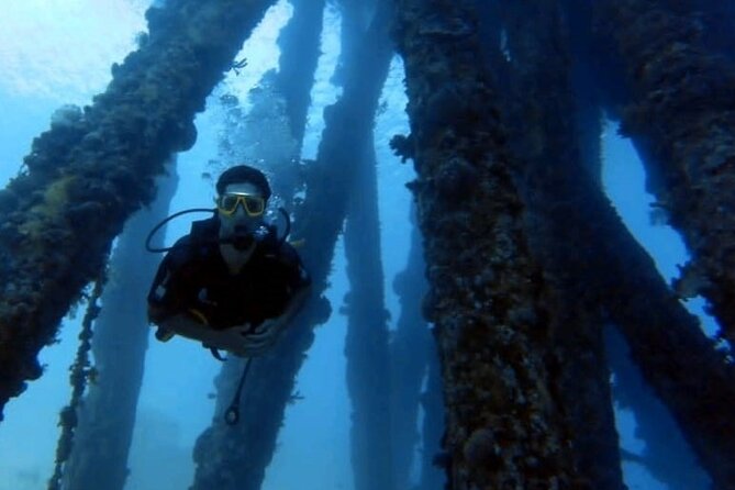 Guided Scuba Diving Adventure in Aqaba - Who should book this experience