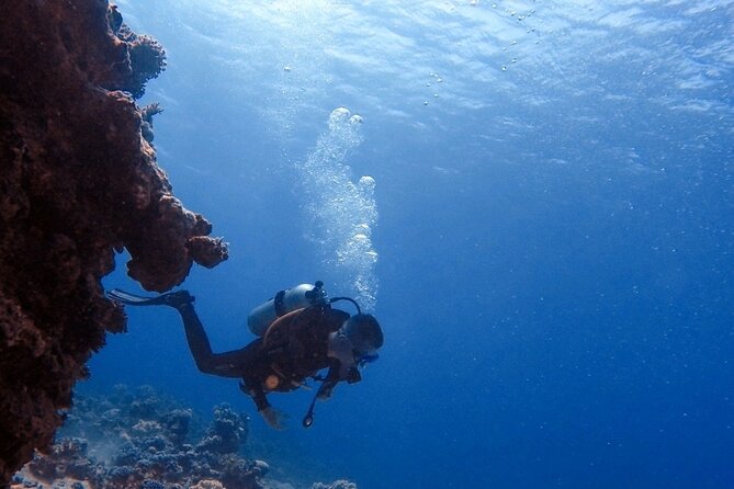 Guided Scuba Diving Adventure in Aqaba - The Red Sea reef experience