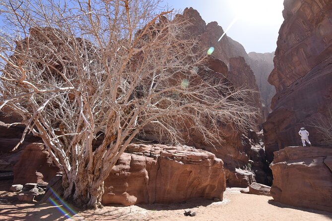 Half day Jeep and camel tour No stay - Lawrence’s Spring and the meaning behind the name