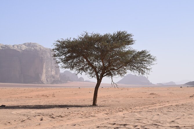 Half day Jeep and camel tour No stay - Sand dunes, soft sand, and the sandboard question