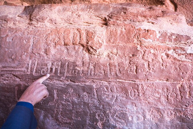 Half day Jeep and camel tour No stay - Starting at Wadi Rum Village