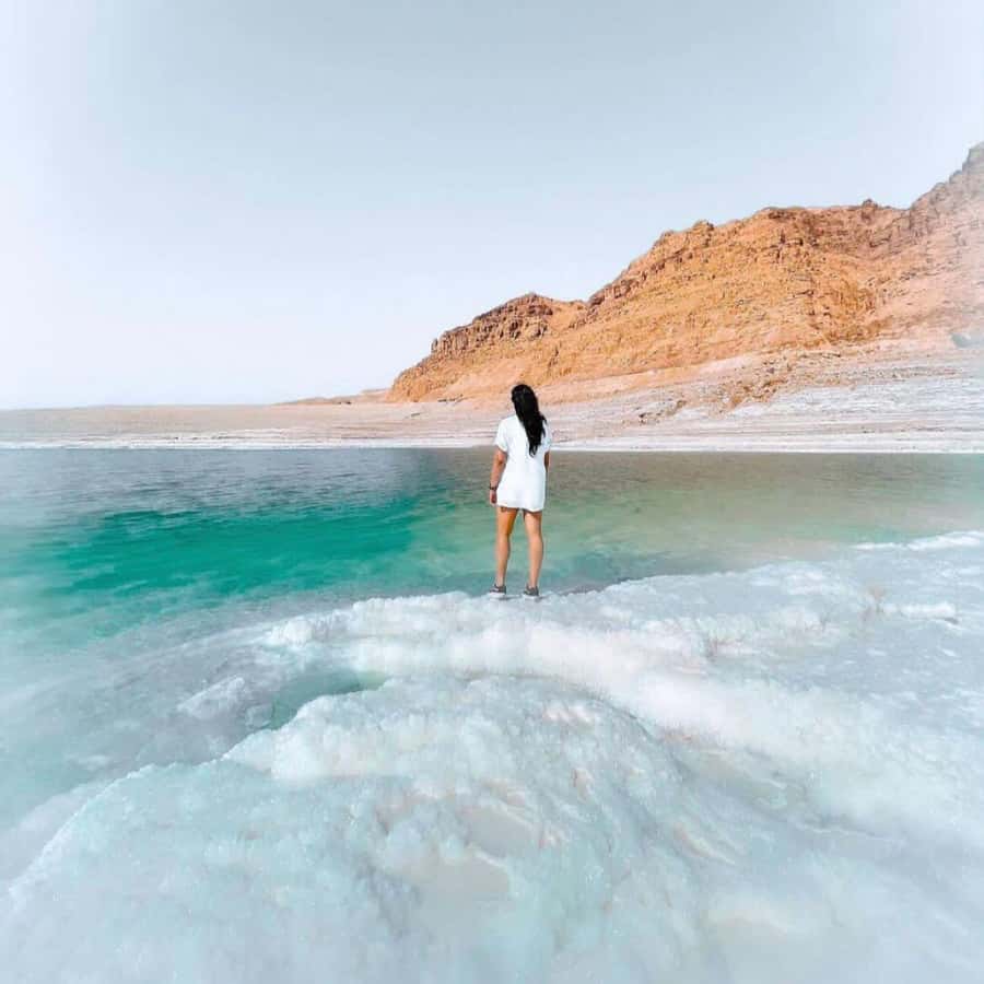 Half Day Tour Dead Sea , Pink Lake, Crystal beach From Amman - Resort beach or natural shoreline