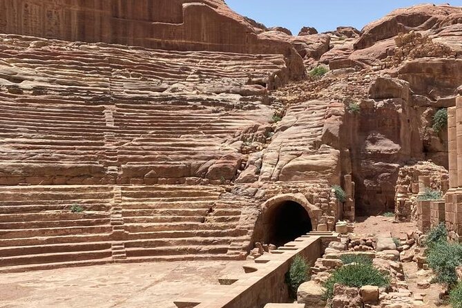 Half Day Tour to the Wonderful City of Petra - The service style and driver experience